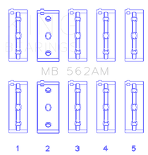 Load image into Gallery viewer, MB_562AM.png
