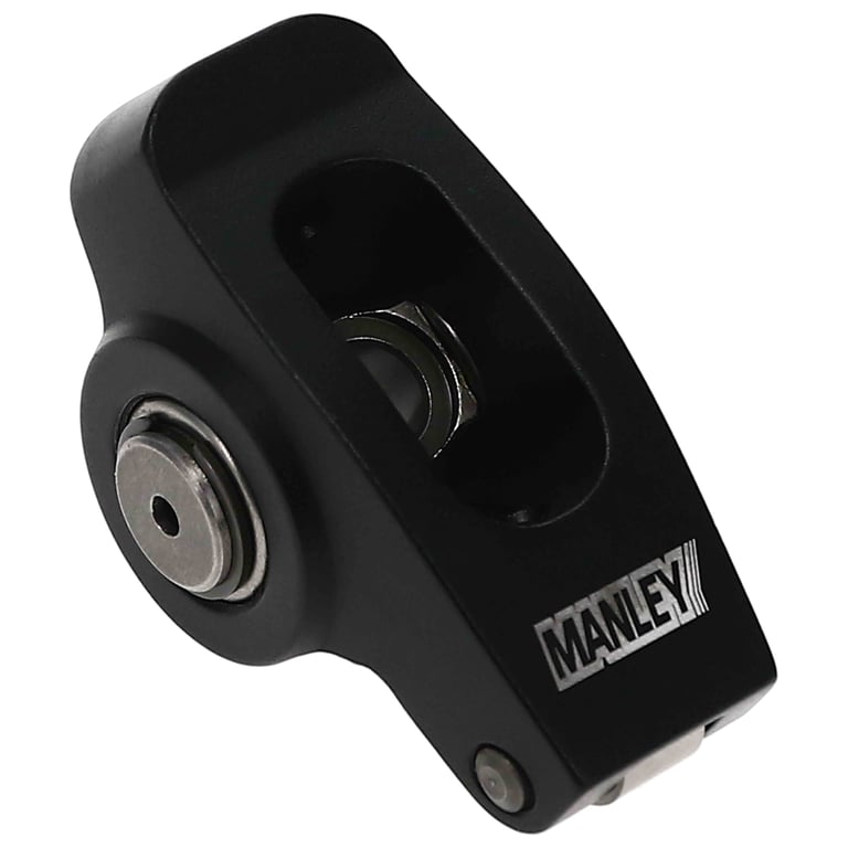 Manley_433962-16_ANG45_P04.jpg