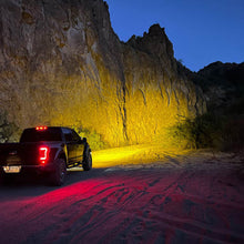 Load image into Gallery viewer, PM411_v7_Raptor Back Amber.jpg