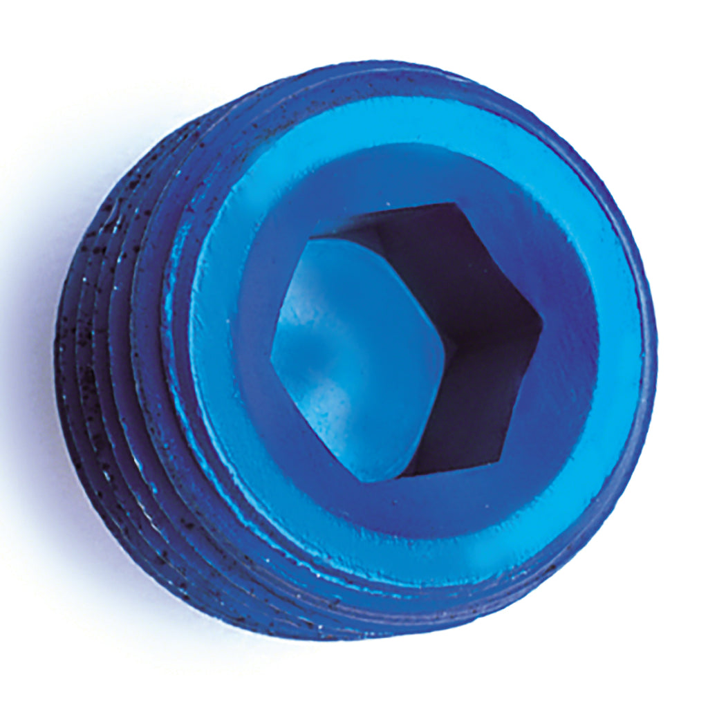 S73_563704BK_Allen Socket Pipe Plug.jpg
