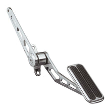 Load image into Gallery viewer, SG-6007.jpg