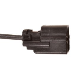 SW-0815_3.jpg