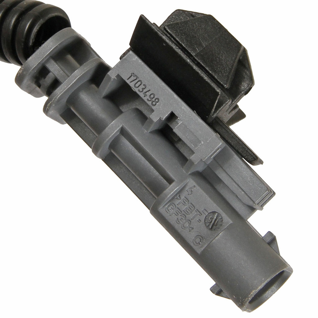SW-1207_3.jpg