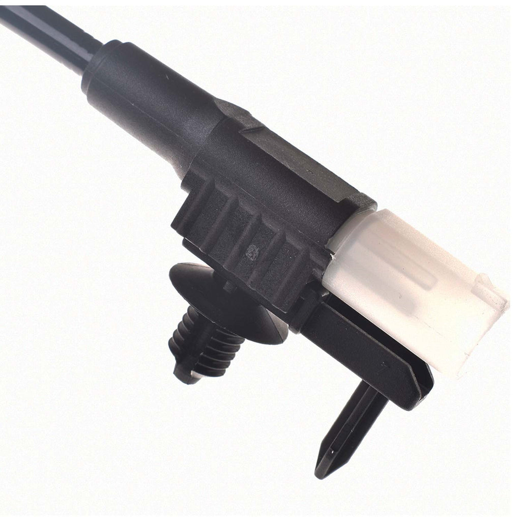 SW-1699_3.jpg