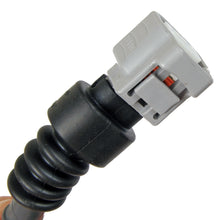 Load image into Gallery viewer, SW-1701_3.jpg
