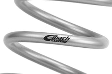 Load image into Gallery viewer, Spring--Color-Images-Silver.jpg