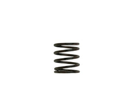 Turbosmart TS-0505-2001 2011 WG38/40/45 3PSI Inner Spring Brown/Black
