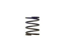 Load image into Gallery viewer, Turbosmart TS-0505-2003 2011 WG38/4045 7PSI Middle Spring Brown/Purple