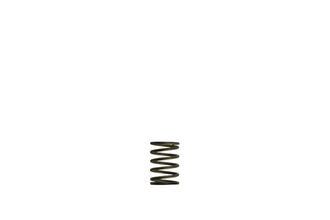 Turbosmart TS-0550-3081 Gen-V WG38/40 3psi Black Inner Spring