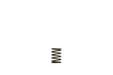 Turbosmart TS-0550-3081 Gen-V WG38/40 3psi Black Inner Spring