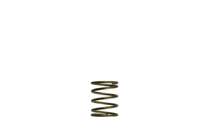 Turbosmart TS-0550-3085 Gen-V WG45/50 3psi Orange Inner Spring