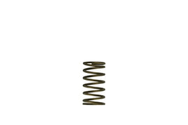 Turbosmart TS-0550-3089 Gen-V WG60 3psi Inner Spring