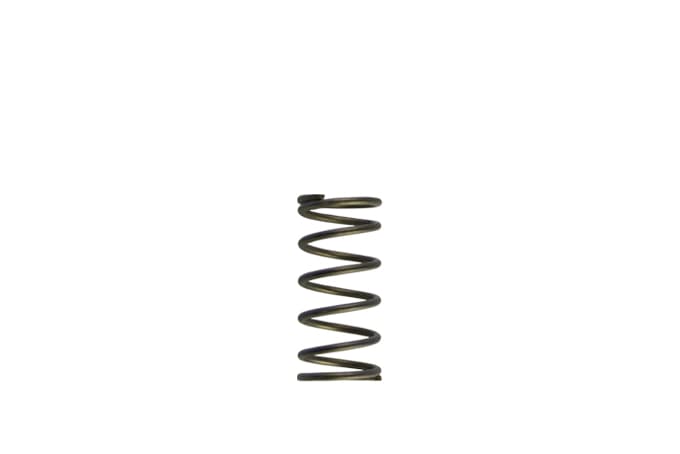 Turbosmart TS-0550-3090 Gen-V WG60 5psi Inner Spring