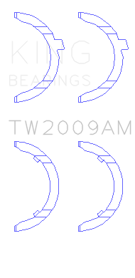 TW2009AM.png