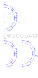 TW3000AM.png