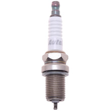 Load image into Gallery viewer, AUTOLITE XP3923 SPARK PLUG #4041