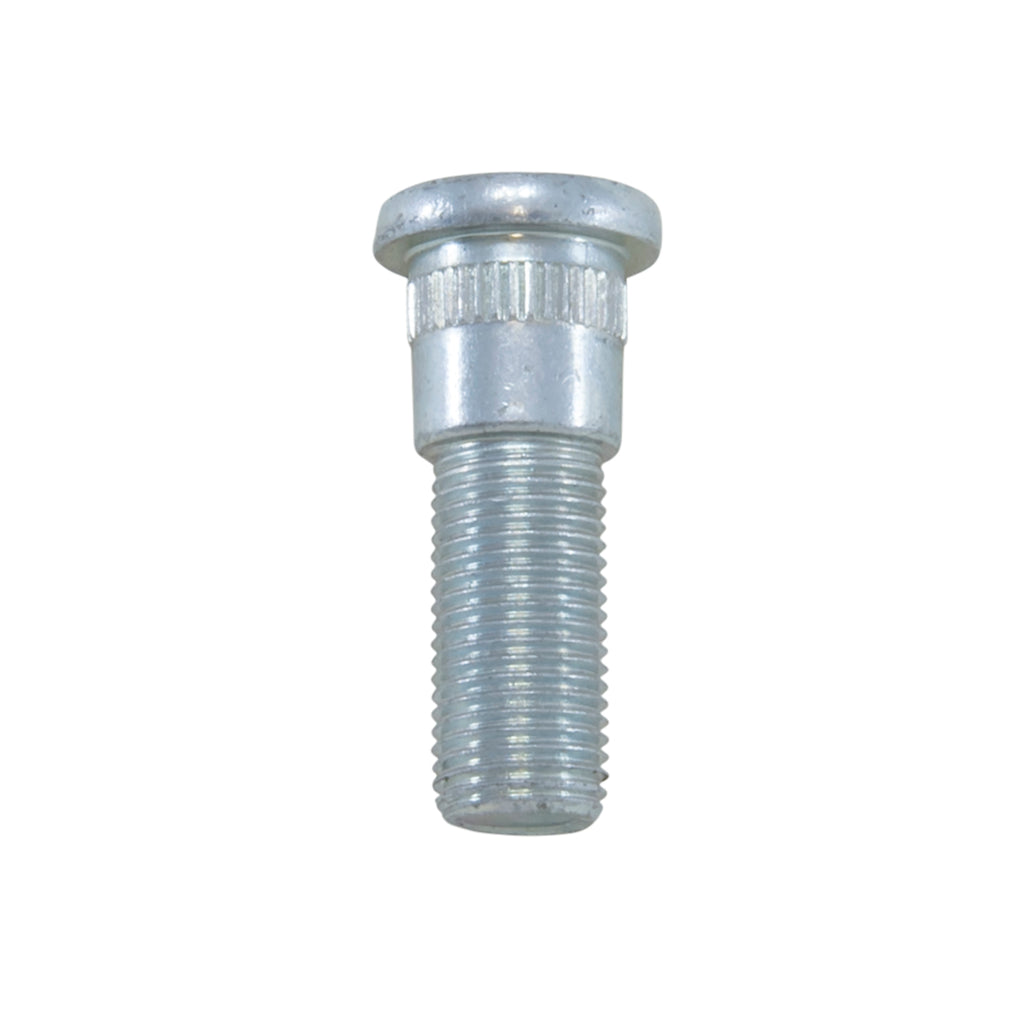 YSPSTUD019.jpg
