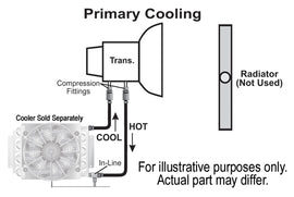 13020-Illustration.jpg