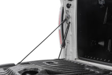 Load image into Gallery viewer, Tailgate Assist | Ford F-150 2WD/4WD (2004-2014)