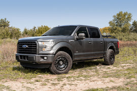 amp-powerstep-xtreme-2019-ford-f150-gray-lifestyle-05.jpg