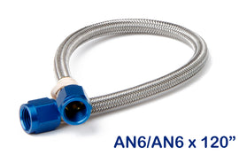 bluehose-6120.jpg