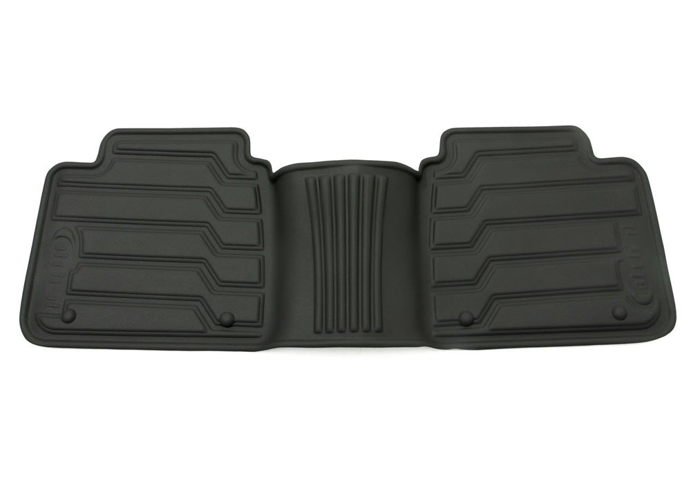 car_catch-it_rear_b_off_vehicle_hr.jpg
