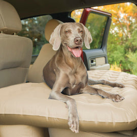 carmat-tan-with-dog.jpg