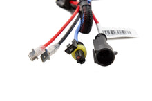 Load image into Gallery viewer, DD1204P_ZZ3.jpg