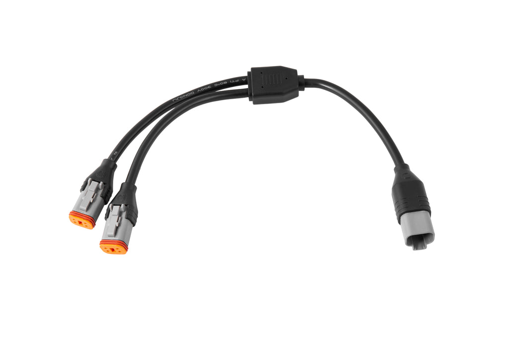 DD4100_P04.jpg