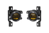 Diode Dynamics DD5164P High-performance OEM-grade replacement with custom-engineered optics.
