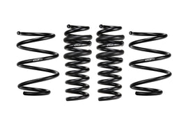 eibach-e102030040122-ct5-blackwing-1.jpg