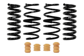 eibach-e10350540522-macheGT-1.jpg