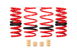 eibach-e20350540122-mache-1.jpg