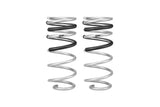 Eibach E30-82-105-03-02 Pair of 2 HD Springs