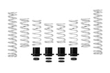 Eibach E85-209-014-03-22 Set of 8 Springs + Hardware
