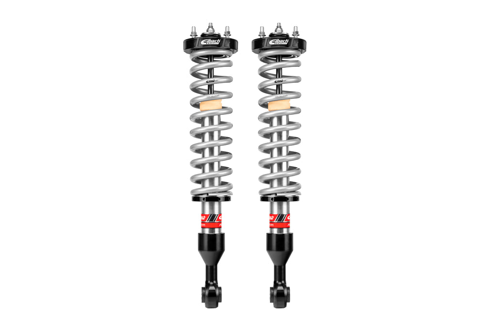 eibach-e86590090122-gx550-2.jpg