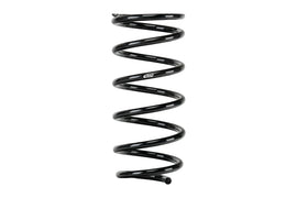 eibach-r40046-rear-sequoia-2.jpg