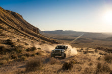 Load image into Gallery viewer, fox-stock-photo-gladiator-jt-ls-b.jpg