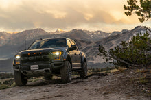 Load image into Gallery viewer, fox-stock-photo-my19-raptor-a.jpg
