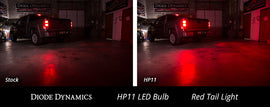 hp11_red_collage_2_1.jpg