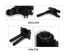 Load image into Gallery viewer, largecoils.jpg