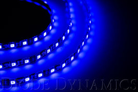 led_strips_blue.jpg