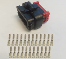 Load image into Gallery viewer, p-2023-810-cn-amp23.jpg