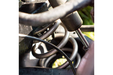 Load image into Gallery viewer, platinum-spring.jpg