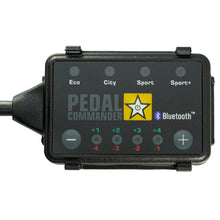 Load image into Gallery viewer, primary-image.jpg