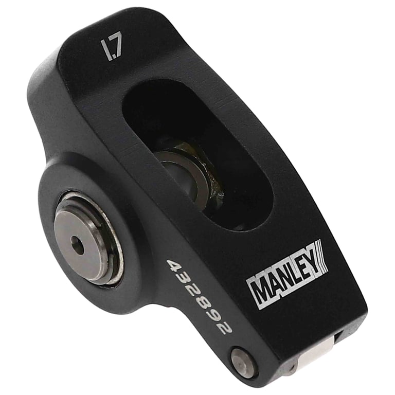 Manley_432892-1_ANG45_P01.jpg