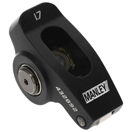 Manley_432892-1_ANG45_P01.jpg