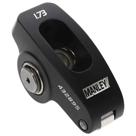 Manley_432895-1_ANG45_P01.jpg
