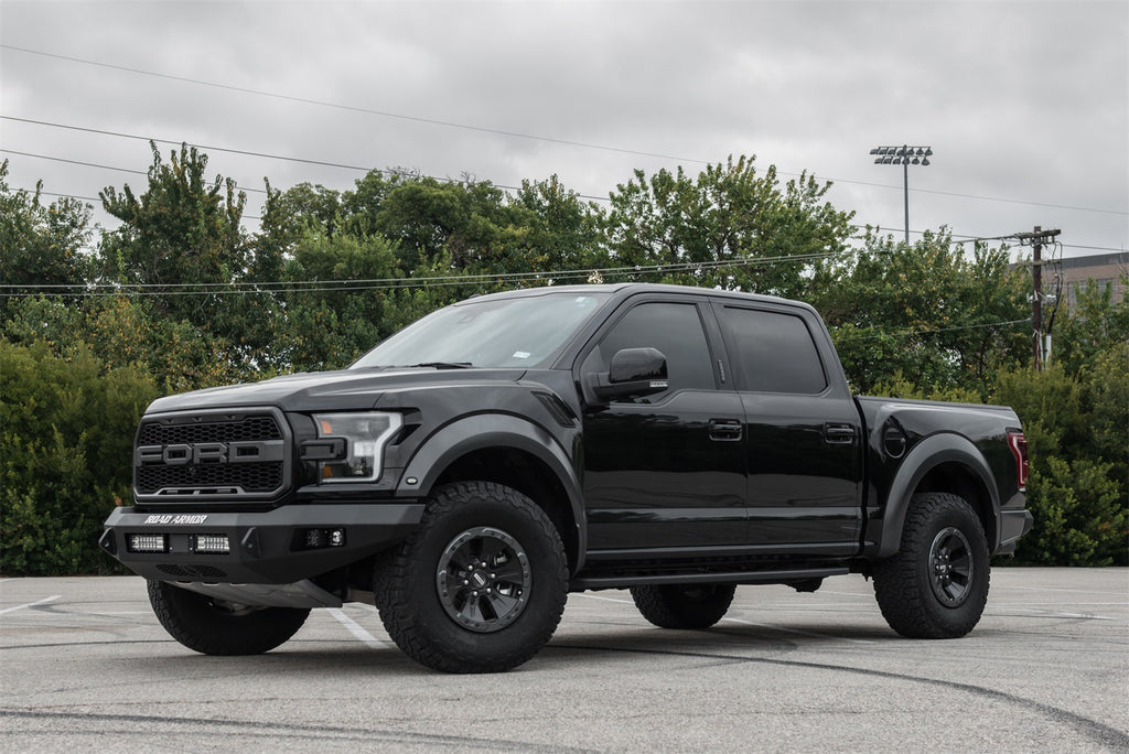 raptor-1.jpg
