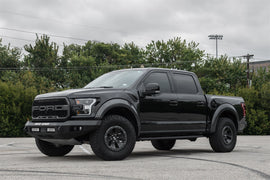 raptor-1.jpg